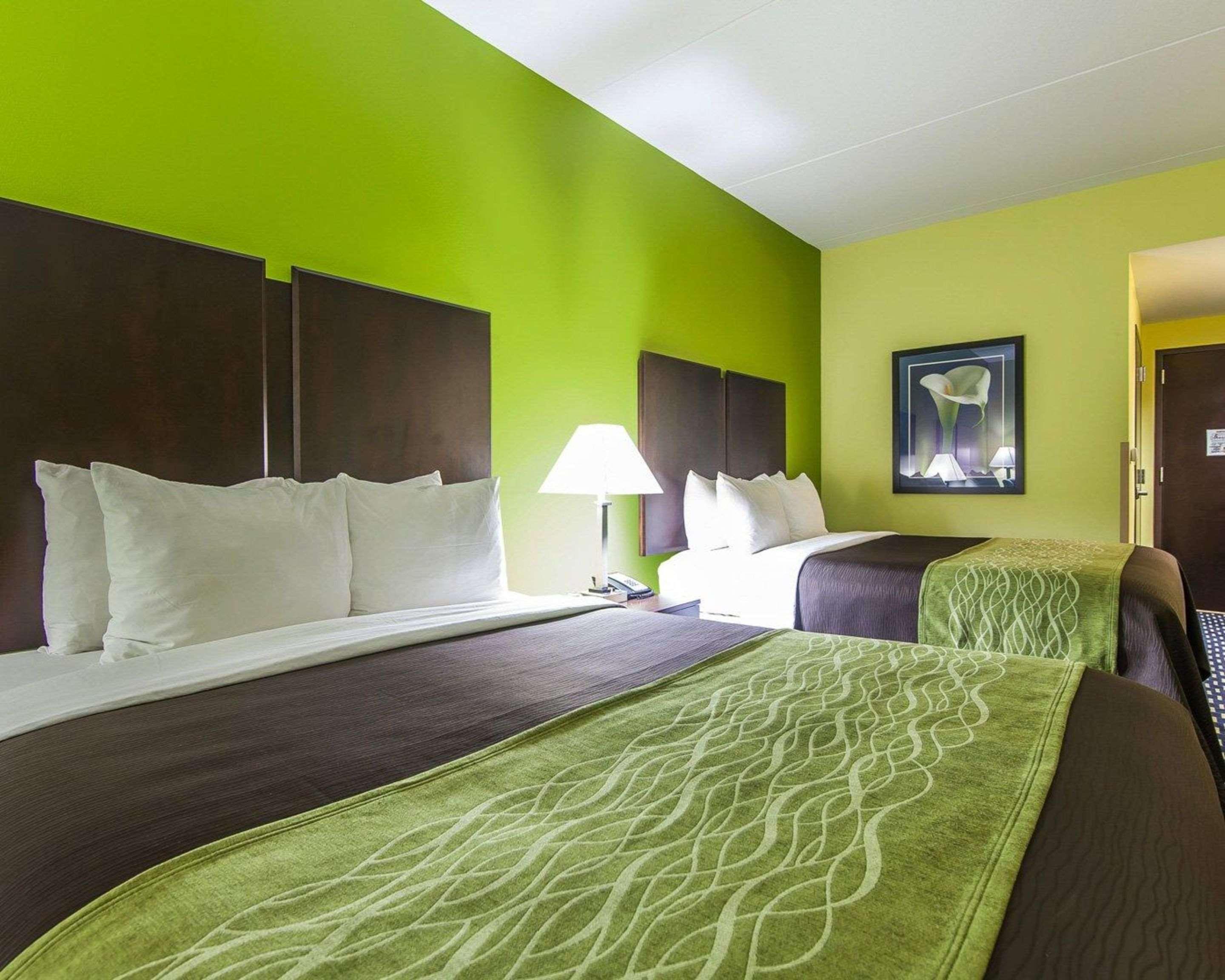 Comfort Inn Athens I - 75 Extérieur photo