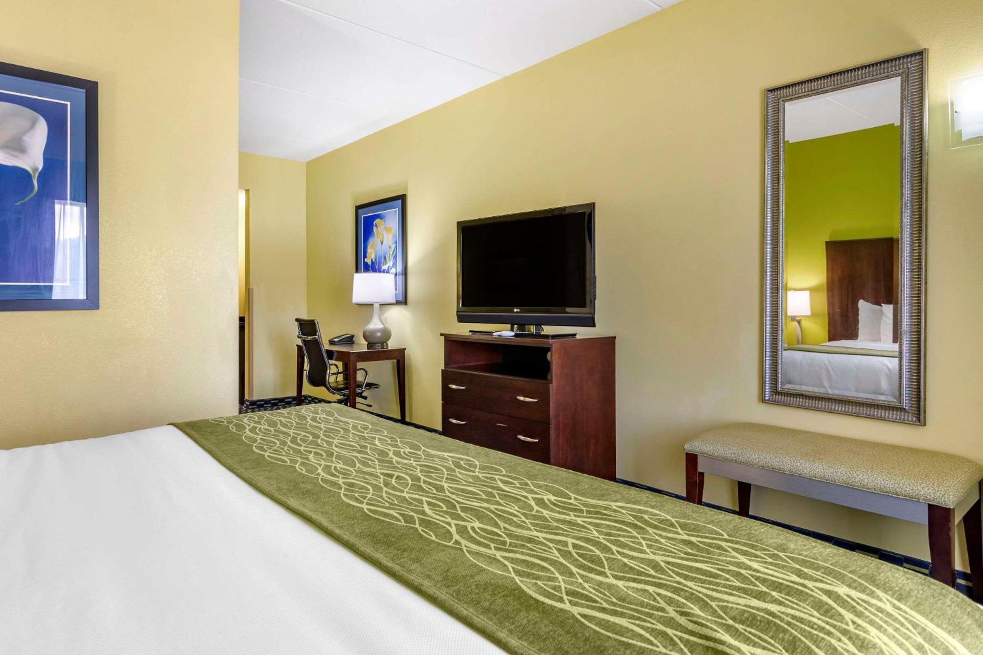 Comfort Inn Athens I - 75 Extérieur photo