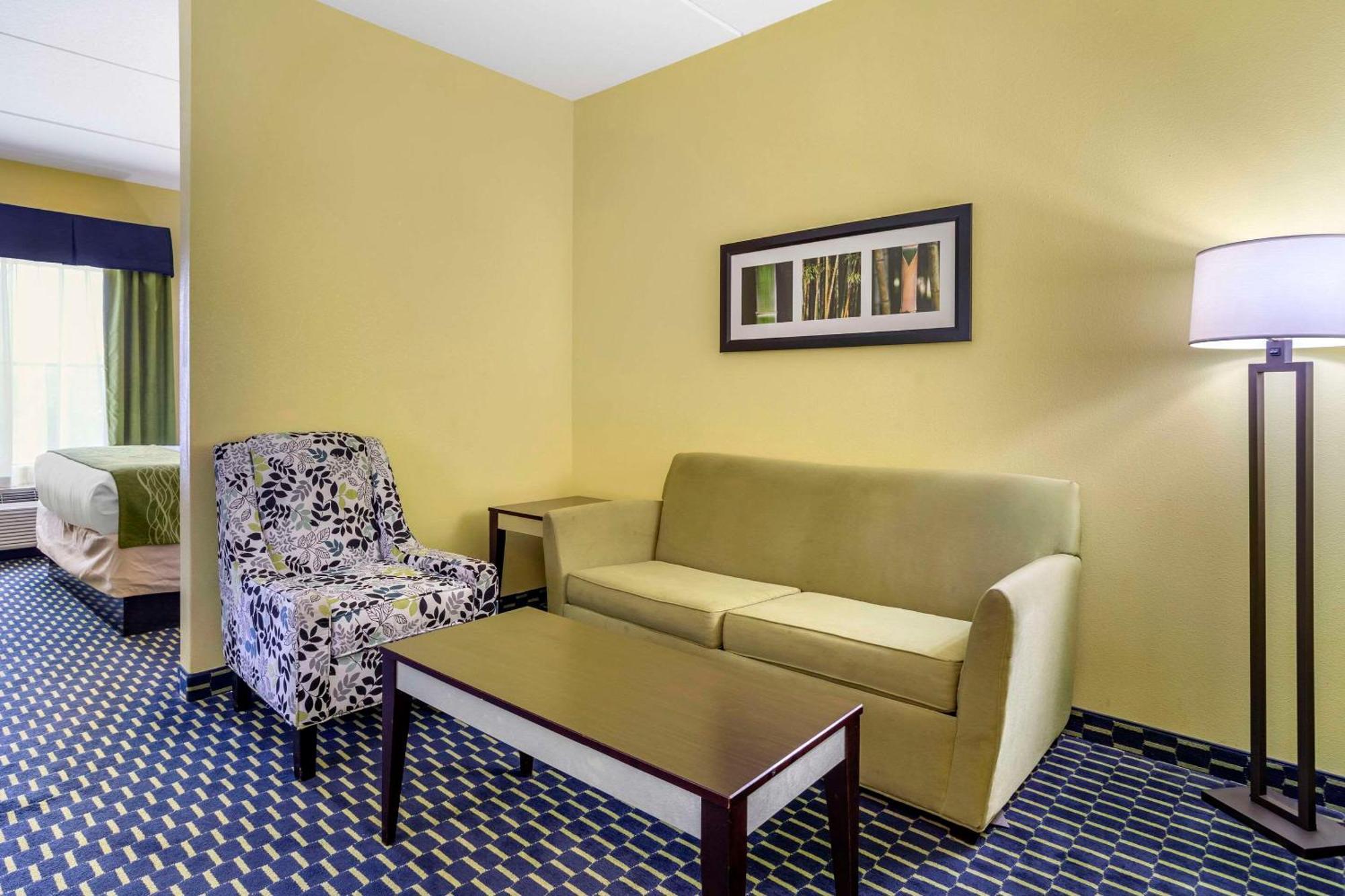 Comfort Inn Athens I - 75 Extérieur photo
