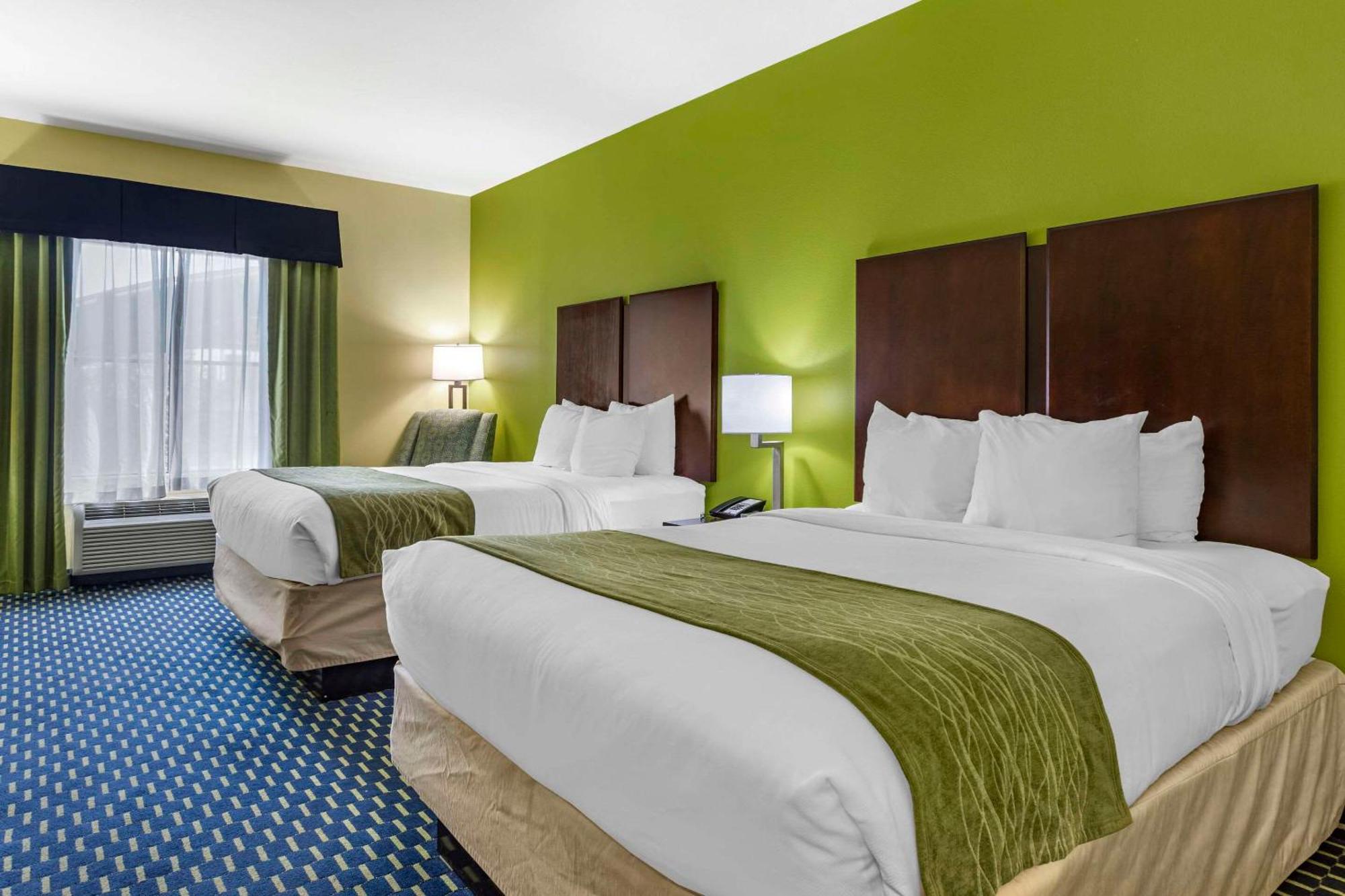 Comfort Inn Athens I - 75 Extérieur photo