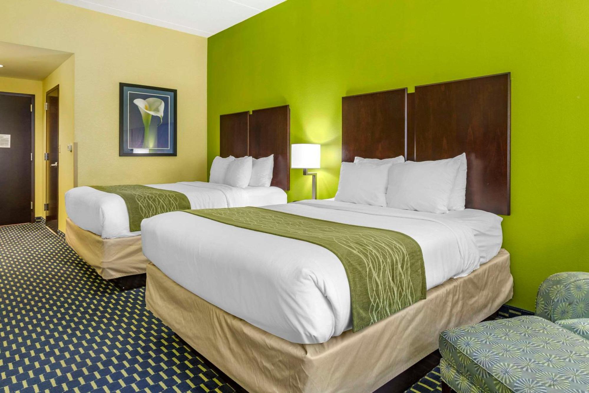 Comfort Inn Athens I - 75 Extérieur photo