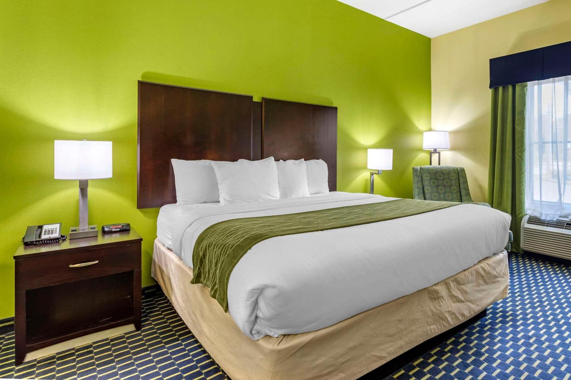Comfort Inn Athens I - 75 Extérieur photo