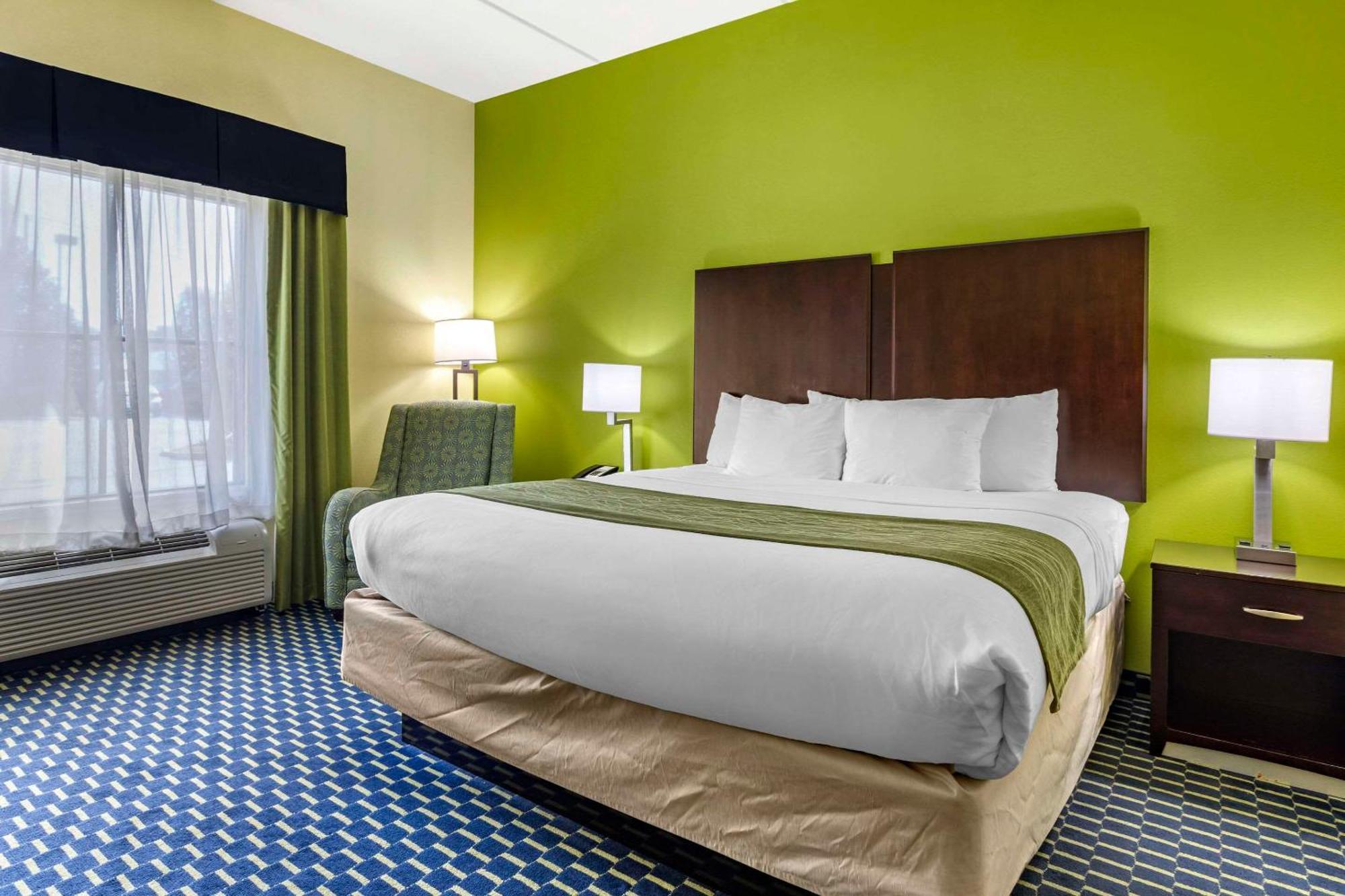 Comfort Inn Athens I - 75 Extérieur photo