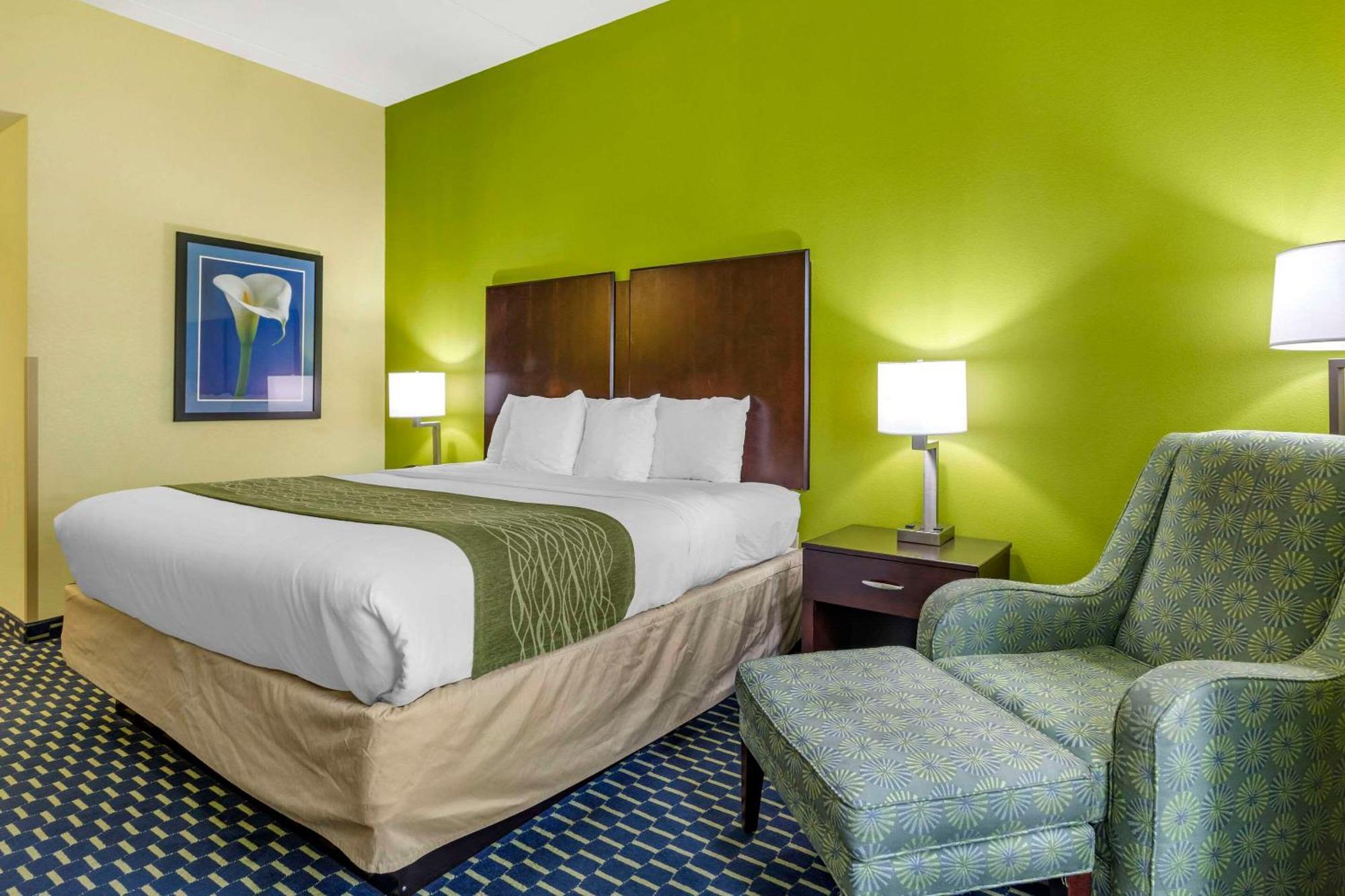 Comfort Inn Athens I - 75 Extérieur photo