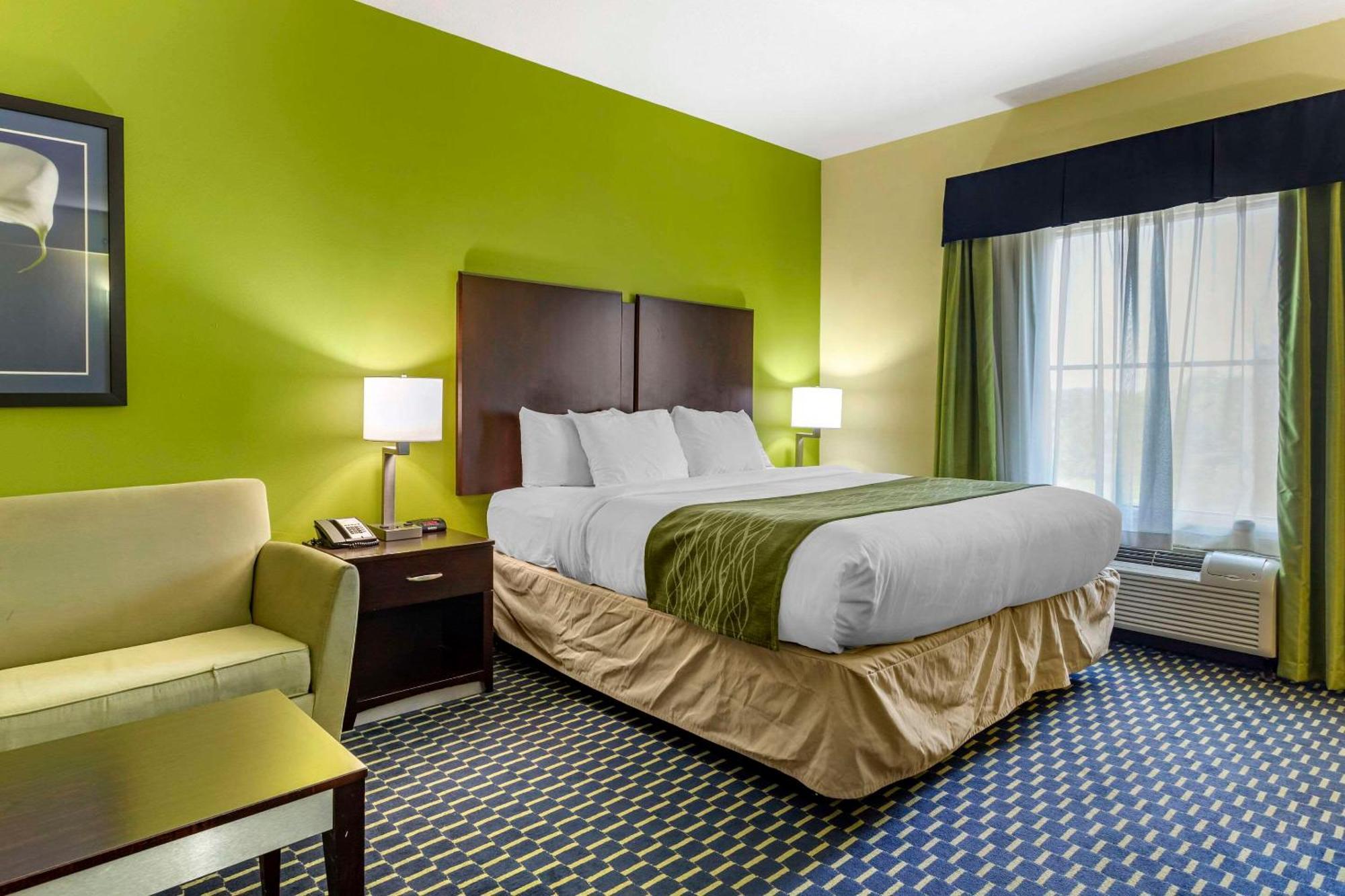 Comfort Inn Athens I - 75 Extérieur photo
